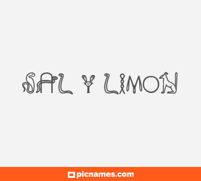 Sal y Limon